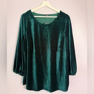 ❗️MOVING SALE❗️ Adrianna Papell Teal Velvet 3/4 Sleeve Blouse